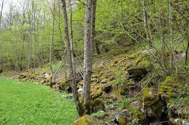 2-st.Rustico zum renovieren in der Natur mit grossem Waldgebiet /Ru... – Foto 15 von 30