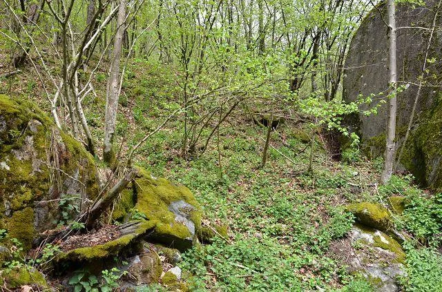 2-st.Rustico zum renovieren in der Natur mit grossem Waldgebiet /Ru... – Foto 14 von 30