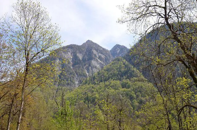 2-st.Rustico zum renovieren in der Natur mit grossem Waldgebiet /Ru... – Foto 18 von 30