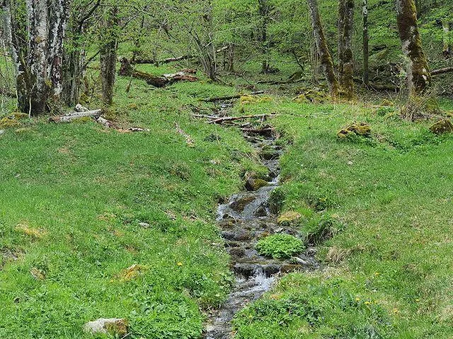 2-st.Rustico zum renovieren in der Natur mit grossem Waldgebiet /Ru... – Foto 21 von 30