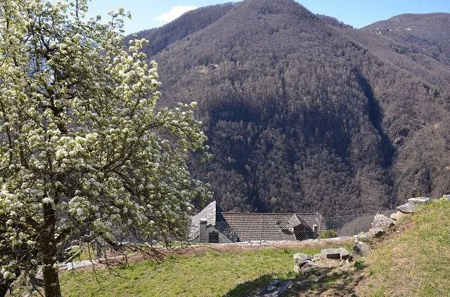 Casa bifamiliare con grande terreno immersa nella natura / 2-Famili... – Foto 20 von 30