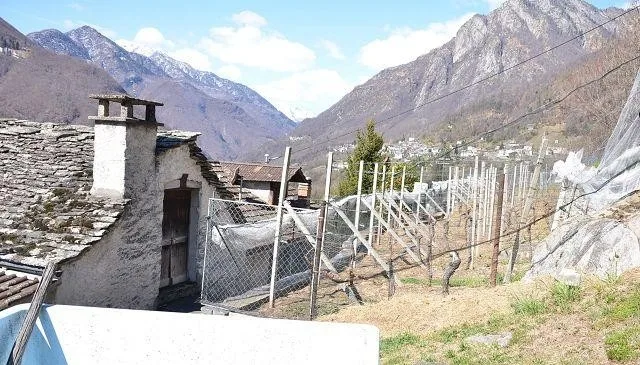 Casa bifamiliare con grande terreno immersa nella natura / 2-Famili... – Foto 25 von 30