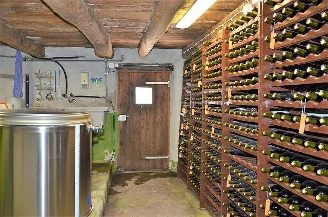Casa bifamiliare con grande terreno immersa nella natura / 2-Famili... – Foto 11 von 30
