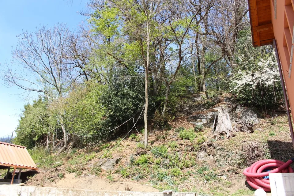 5 1/2-Zimmer-Haus mit Wald und Wiese von 1482 m2 / casa di 5 1/2 lo... – Foto 15 von 30