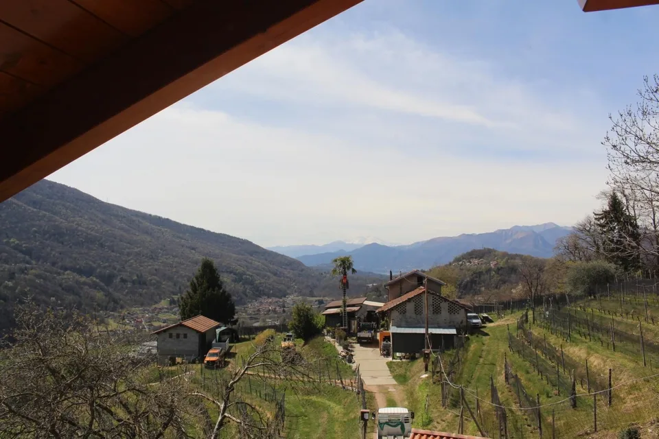 5 1/2-Zimmer-Haus mit Wald und Wiese von 1482 m2 / casa di 5 1/2 lo... – Foto 16 von 30