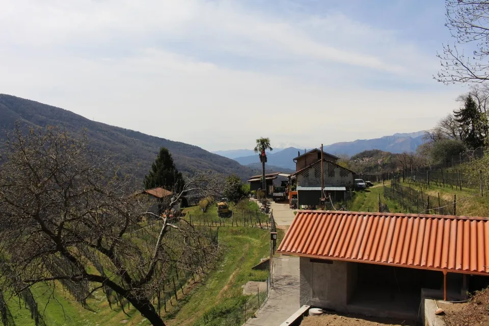5 1/2-Zimmer-Haus mit Wald und Wiese von 1482 m2 / casa di 5 1/2 lo... – Foto 19 von 30