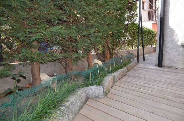 Casa unifamigliare con monolocale e rustico da ristrutturare / Einf... – Foto 6 von 30