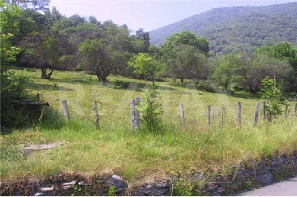 Terreno edificabile in mezzo alla natura