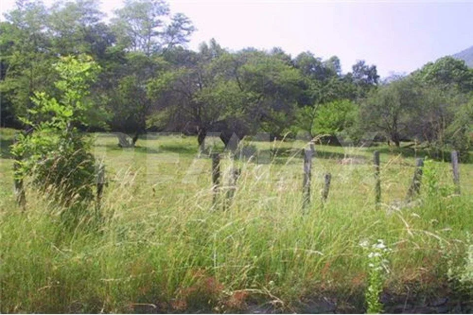 Terreno edificabile in mezzo alla natura