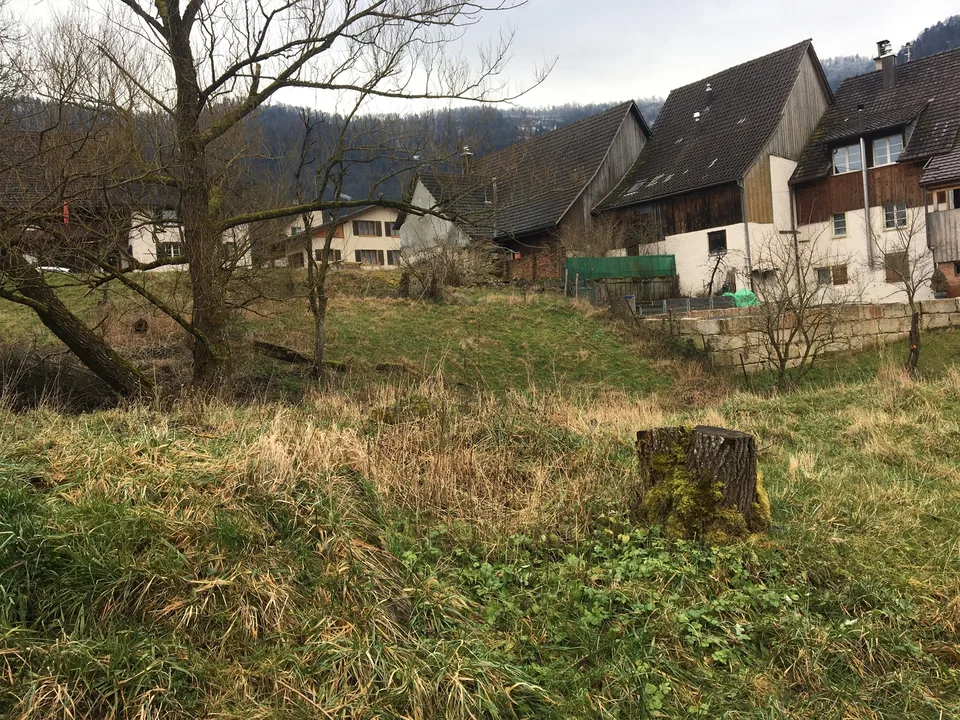 Bauland 1163 m2 in Bärschwil SO