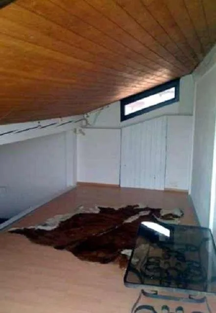 3-Familienhaus mit Nebengebäude, Stall und Wiese und Wald / casa co... – Foto 10 von 25