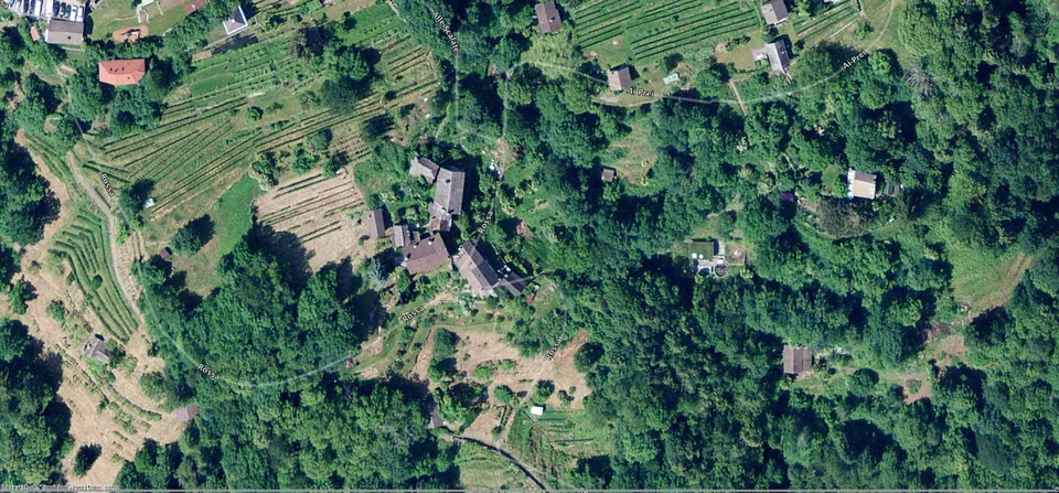 Wiesen- und Waldparzellen / prato e bosco