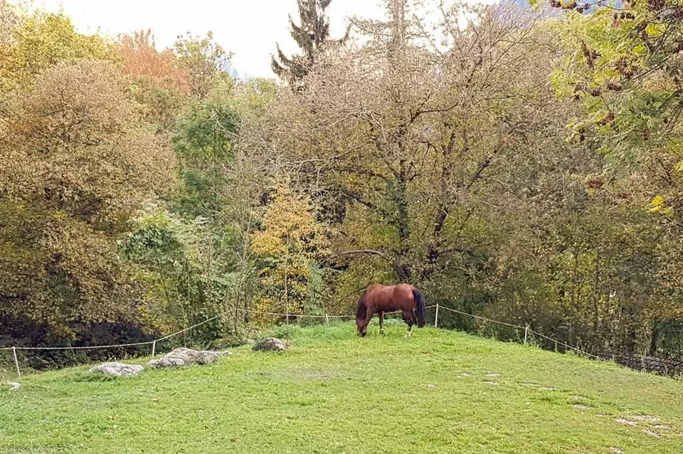Zweifamilienhaus mit grosser Baulandreseve an Alleinlage / casa bif... – Foto 8 von 19