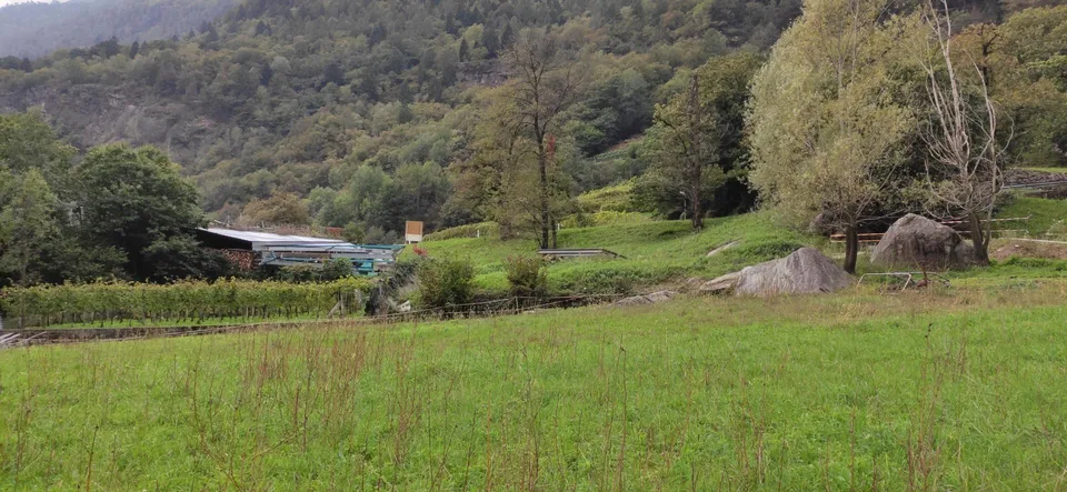 Terreno con progetto approvato – Foto 11 von 12