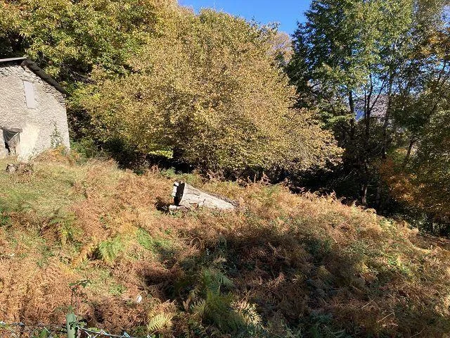 3 rustici an idyllischer Lage mit ca. 2504m2 Grundstückfläche/ 3 ru... – foto 14 di 29