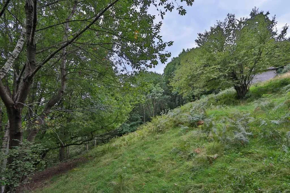 3 rustici an idyllischer Lage mit ca. 2504m2 Grundstückfläche/ 3 ru... – foto 29 di 29