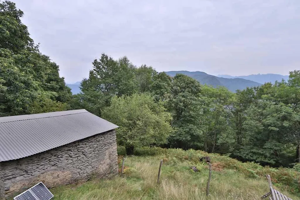 Bergrustico-Gruppe mit 9 Rustici an idyllischer Lage mit ca. 5609m2... – Foto 8 von 29