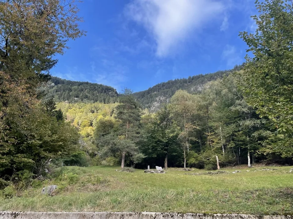 Rustico di 2 locali da riattare con prato da sfalcio, e bosco /... – Foto 13 von 18
