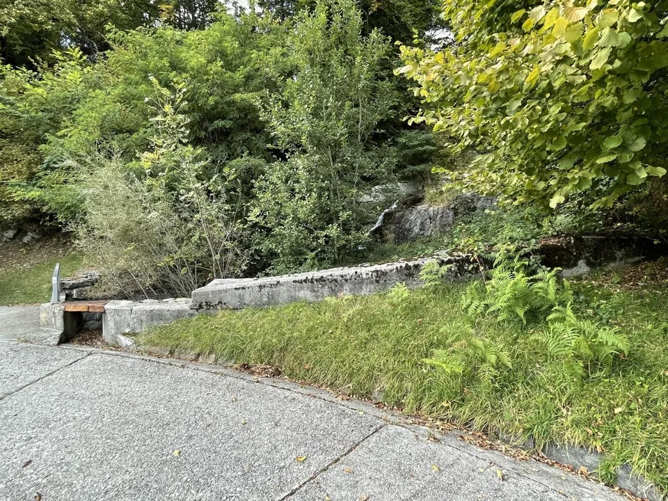 Rustico di 2 locali da riattare con prato da sfalcio, e bosco /... – Foto 12 von 18