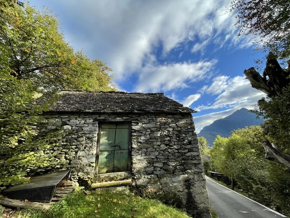 Rustico di 2 locali da riattare con prato da sfalcio,  e bosco    /...