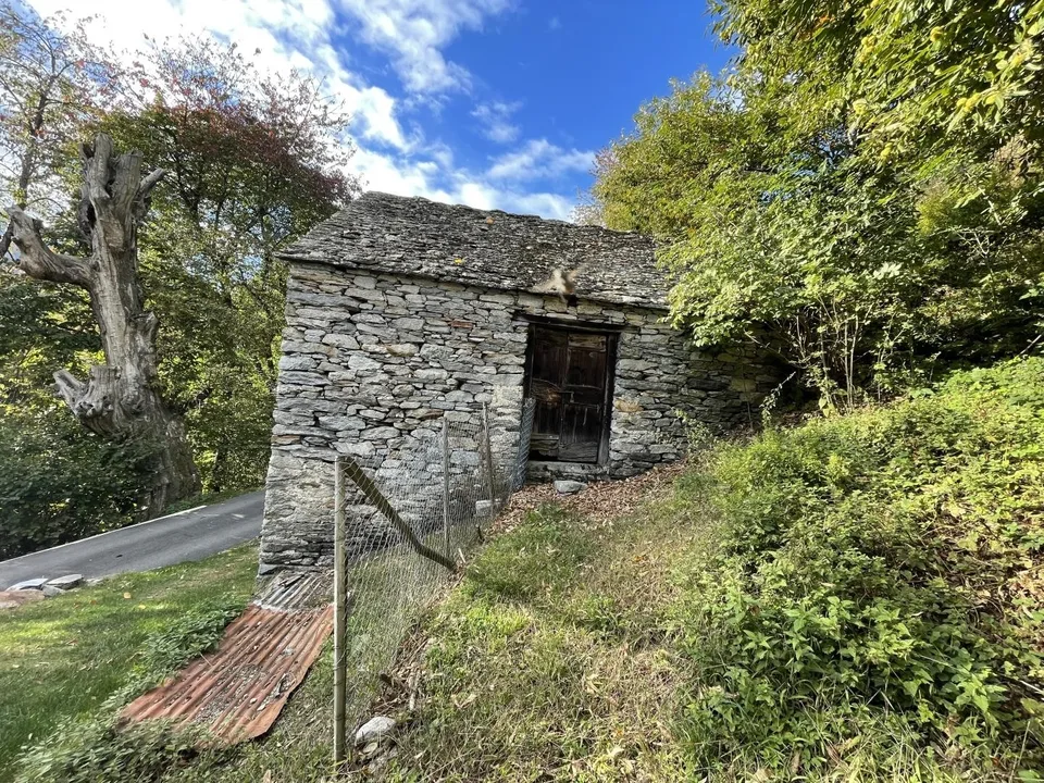 Rustico di 2 locali da riattare con prato da sfalcio,  e bosco    /...