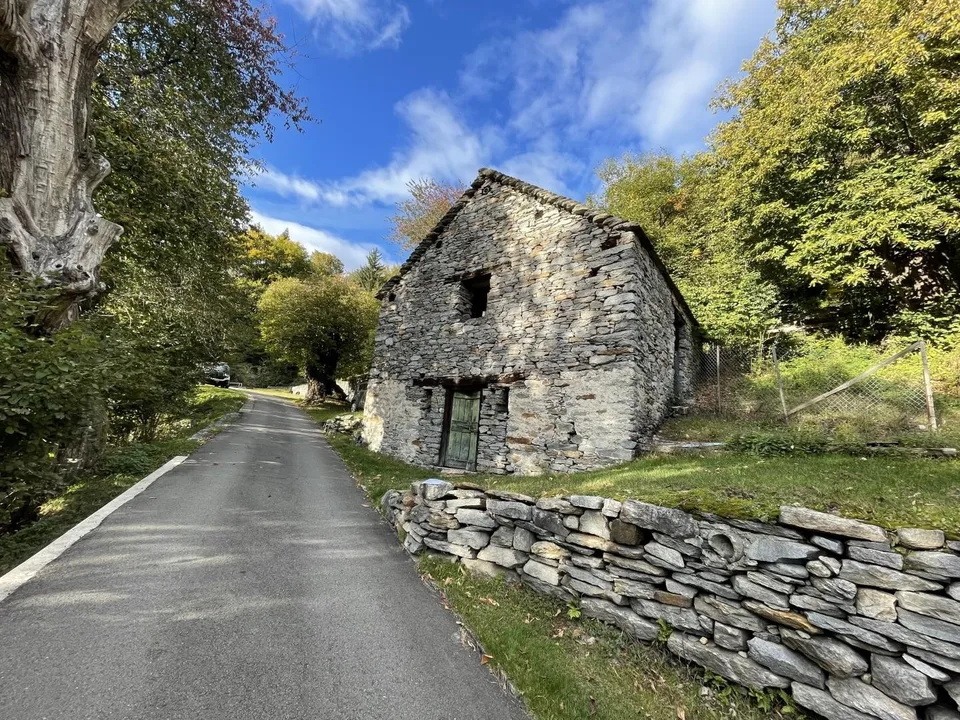 Rustico di 2 locali da riattare con prato da sfalcio,  e bosco    /...