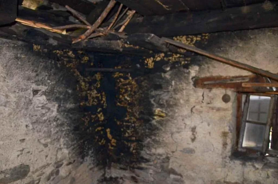 2-Zimmer-Rustico zum Ausbauen an sehr ruhiger, sonniger Aussichtsla... – Foto 13 von 24