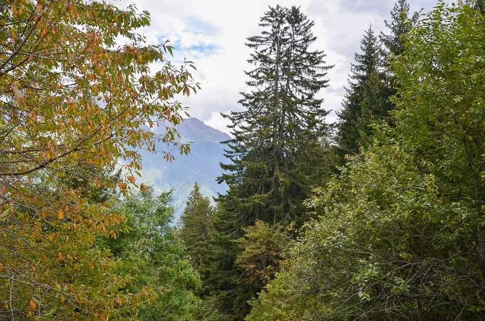 2-Zimmer-Rustico zum Ausbauen an sehr ruhiger, sonniger Aussichtsla... – Foto 15 von 24