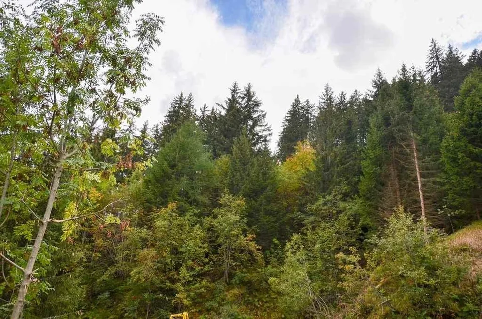 2-Zimmer-Rustico zum Ausbauen an sehr ruhiger, sonniger Aussichtsla... – Foto 22 von 24
