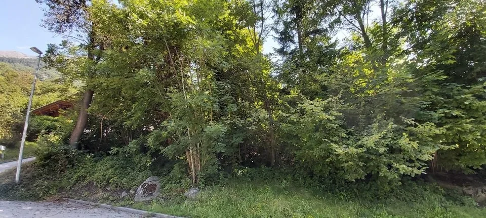 Baulandgrundstück mit Projekt /Terreno edificabile con progetto app... – Foto 6 von 6