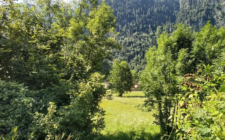 Baulandgrundstück mit Projekt /Terreno edificabile con progetto app...