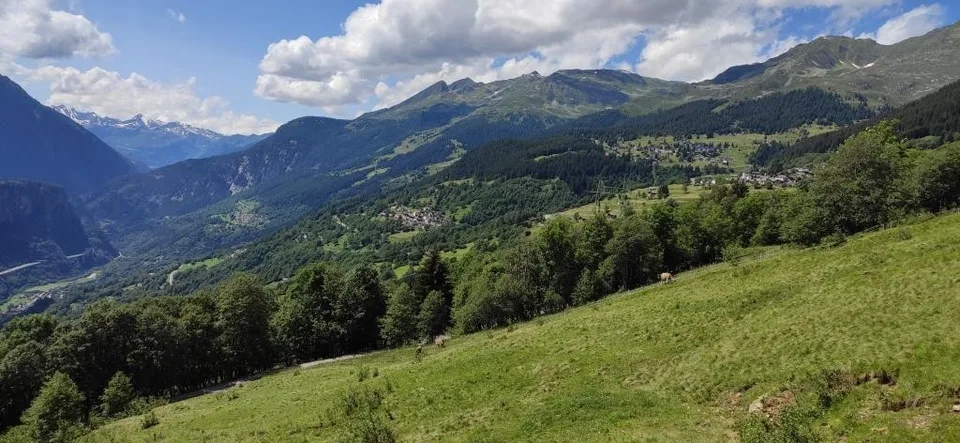 rossura – Foto 19 von 29