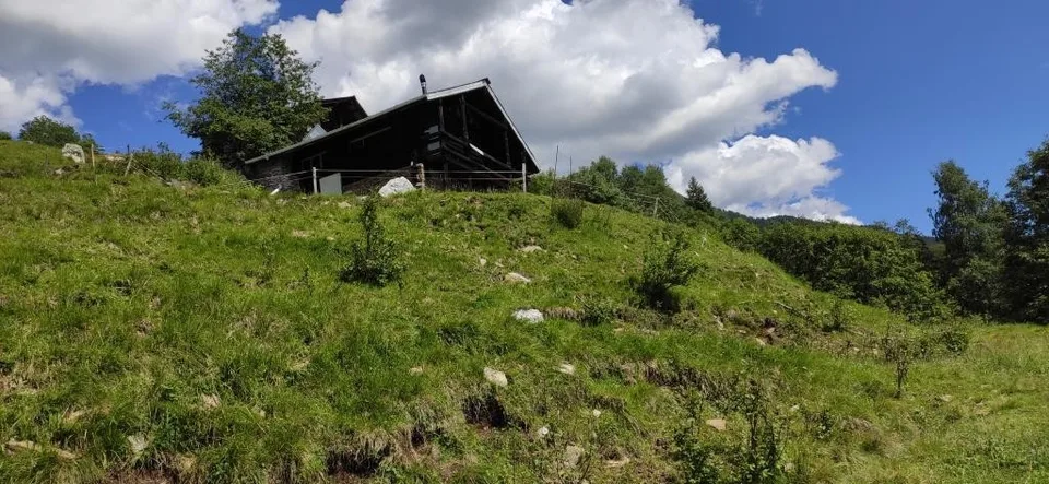 rossura – Foto 29 von 29