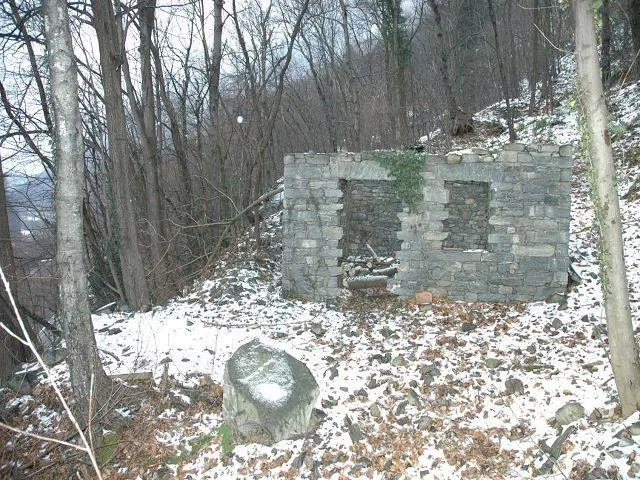 Rustici zum Ausbauen mit Wald