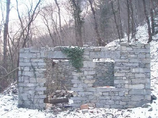 Rustici zum Ausbauen mit Wald