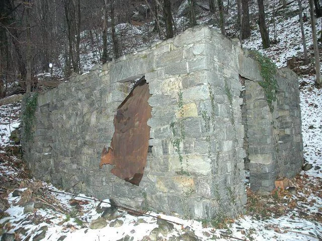 Rustici zum Ausbauen mit Wald