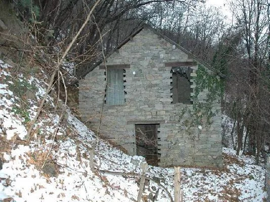Rustici zum Ausbauen mit Wald