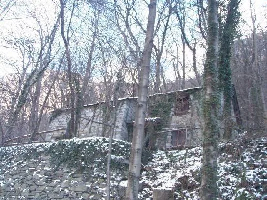 Rustici zum Ausbauen mit Wald