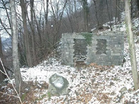 Rustici zum Ausbauen mit Wald