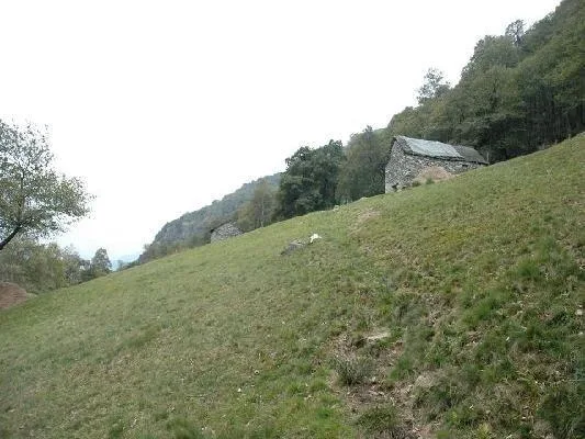Rustico zum Ausbauen mit 8573 m2 Wiesland