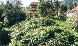 3-Zimmer-Rustico mit Land / rustico di 3 locali con terreno