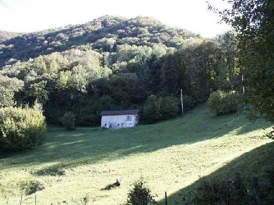 3-Zimmer-Rustico zum Ausbauen mit grosser Wiesenfläche an sehr ruhi...