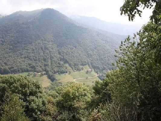 5 1/2-Zimmer-Rustico an Alleinlage mit 10000 m2 Wiesland sehr sonni... – Foto 6 von 14