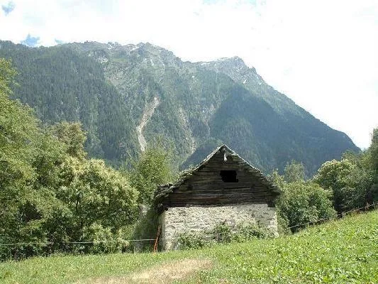 Rustico zum Ausbauen mit 2000 m2 Wiesland