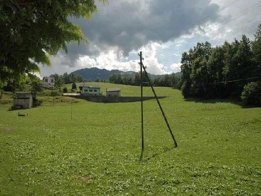 Rustico zum Ausbauen mit 2000 m2 Wiesland