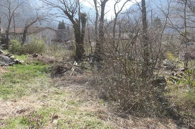 eben, ruhig und sonnig mit Zufahrt