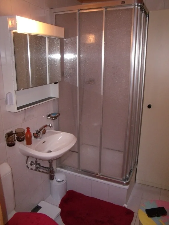 Dachgeschosswohnung mit bester Infrastuktur – photo 10 of 11