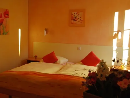Drei Sterne Hotel-Restaurant in Siders, werden Sie ihr eigener Chef – foto 8 di 10