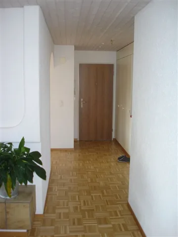 5 1/2-Zi. Attikawohnung mit Dachterrasse