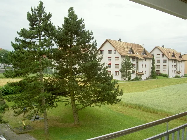 5 1/2-Zi. Attikawohnung mit Dachterrasse